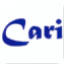 Caricaturer IO